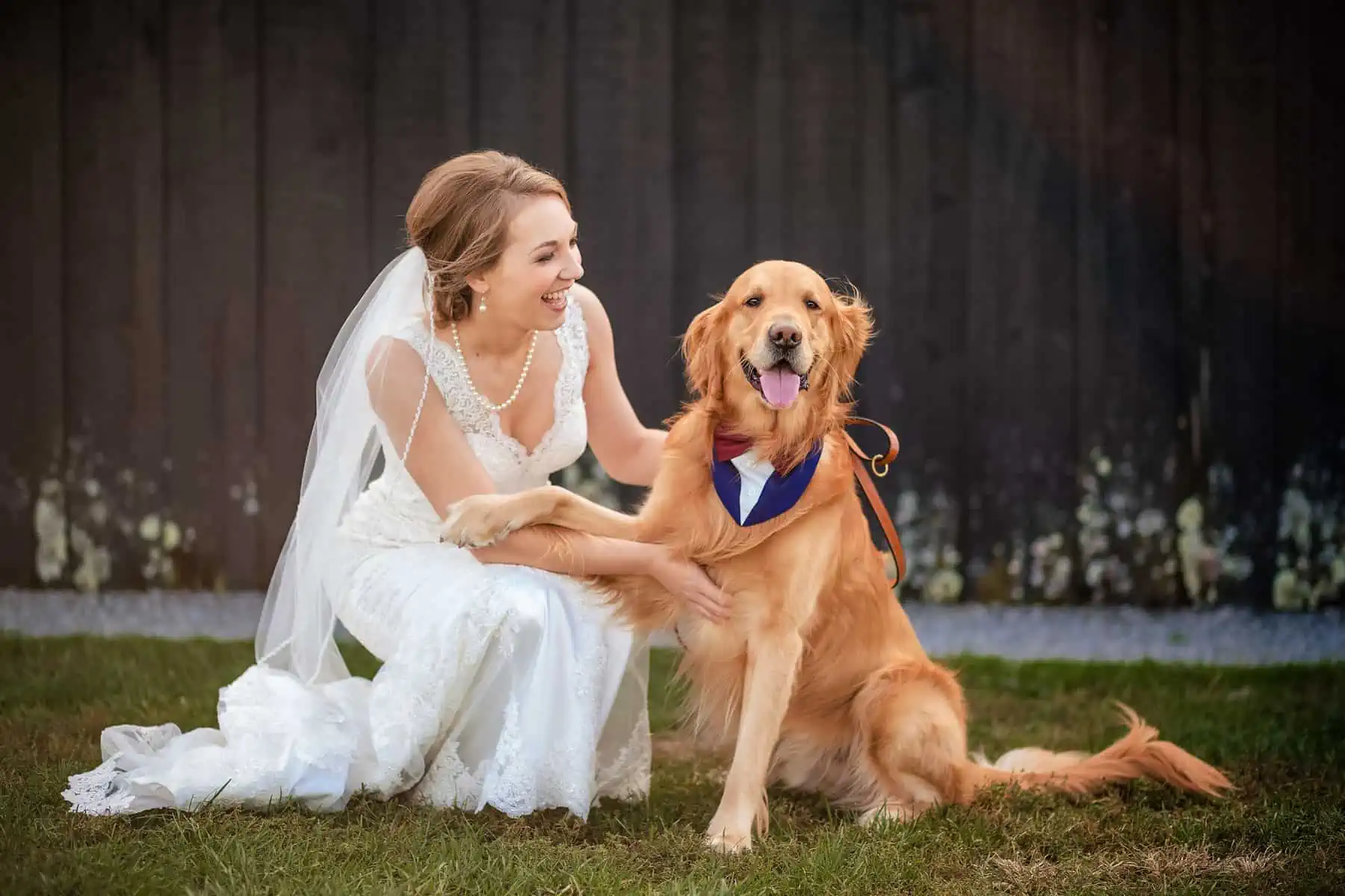 A bride in a white dress with a golden retriever.