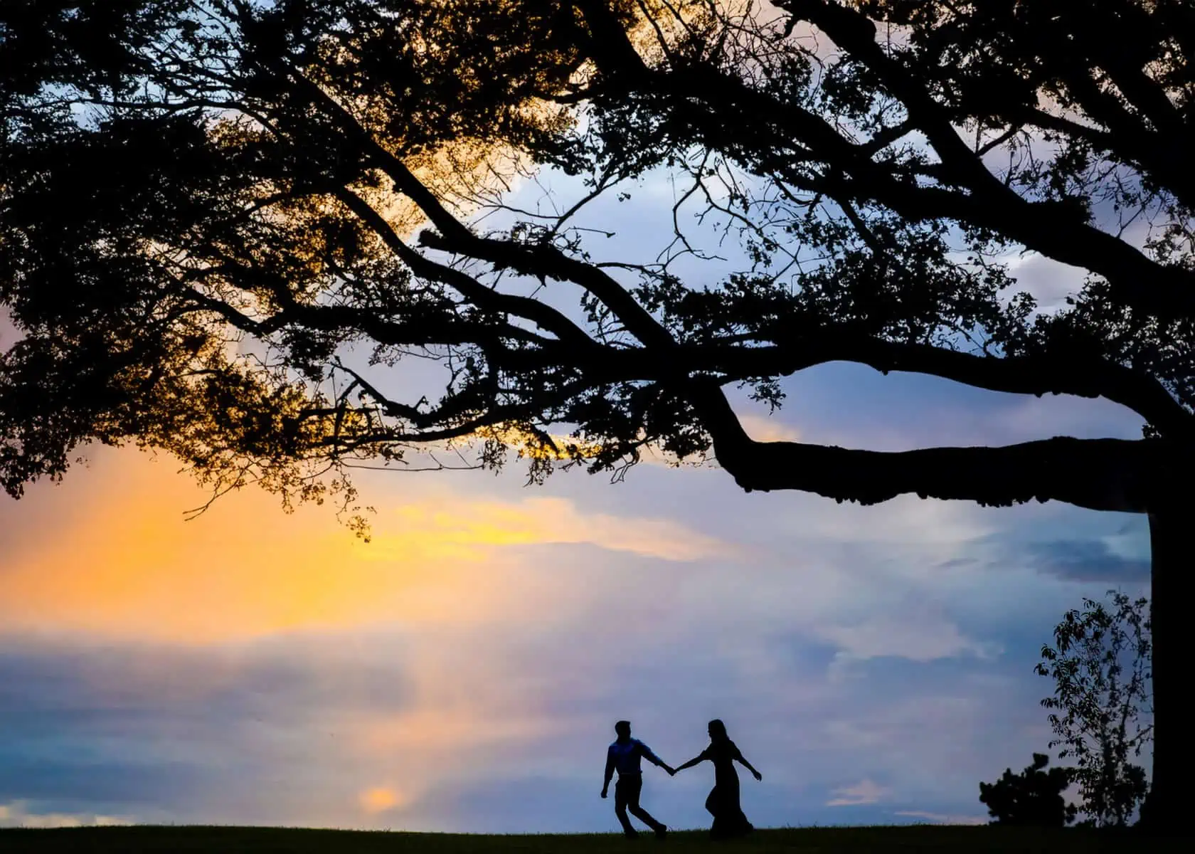 A silhouette of a couple walking under a tree at sunset.