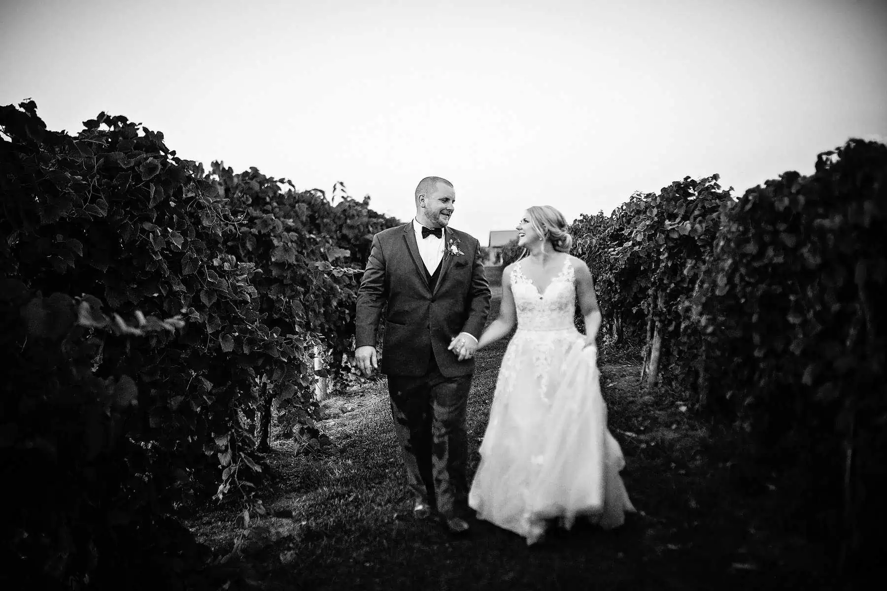 A bride and groom walking through a vineyard.